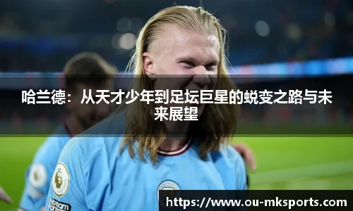 mk体育官网