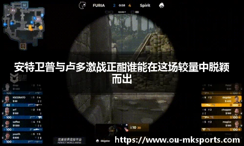 MK体育
